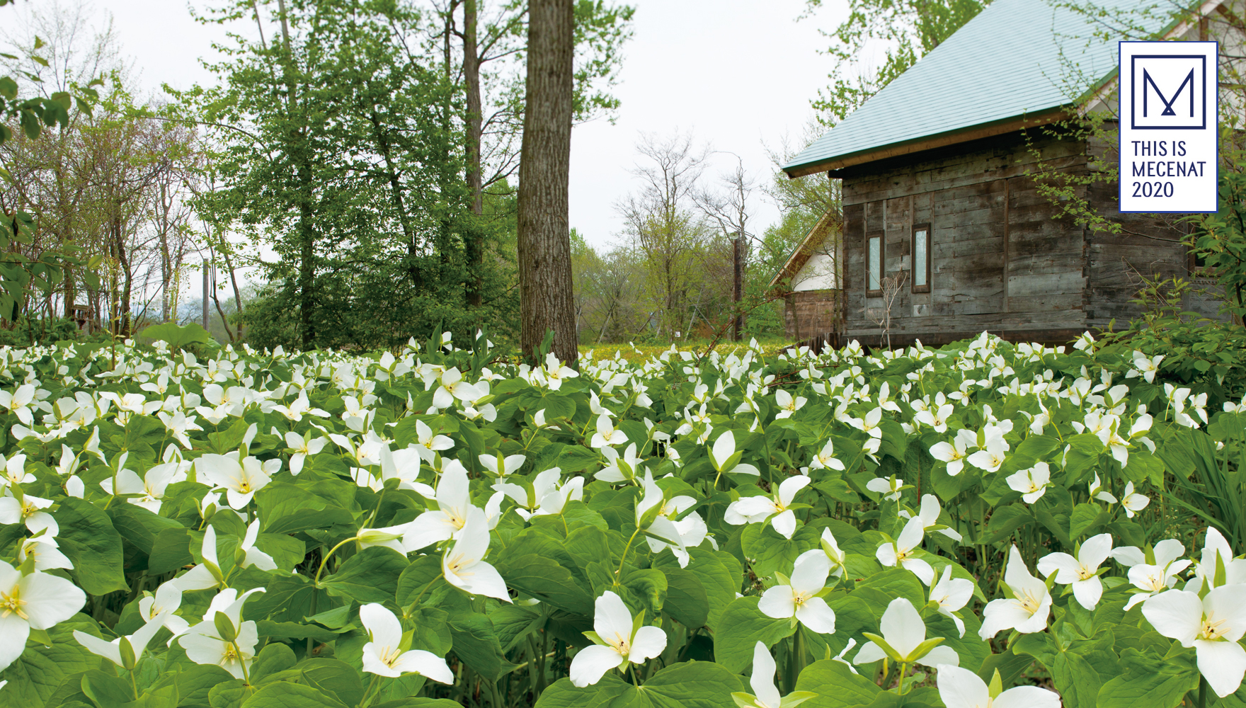 六花の森 施設のご案内 公式 六花亭